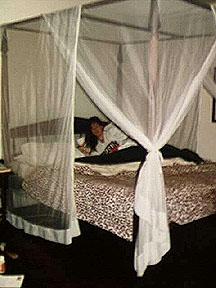 Sleeping under mosquito nets