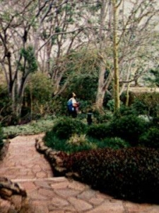 Landscaped grounds at Mara Serena Lodge