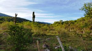 EcoPortal de Piedra, Jujuy