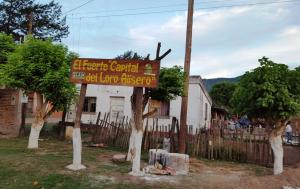 El Fuerte, home of the Tucuman Parrot