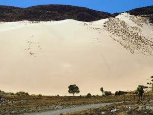 Sand dunes in the Puna