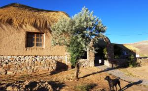 Pachama Hosteria, Yavi