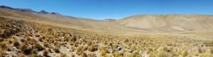 High Andes driving, to Santa Victoria