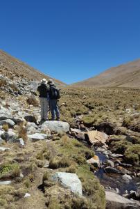 Birding at 4600m