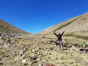 Puna birding