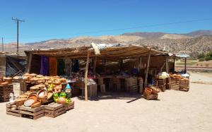 Tropic of Capricorn