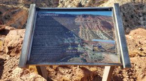 Goosenecks Point