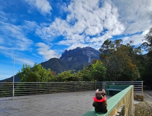 Me again! Love that view of Mt Kinabalu!