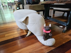 Borneo Rainforest Lodge