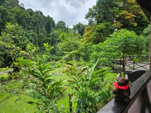 Borneo Rainforest Lodge