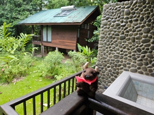 Borneo Rainforest Lodge
