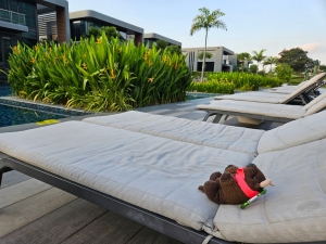 Relaxing in Singapore, poolside