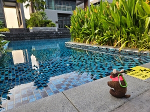 Relaxing in Singapore, poolside
