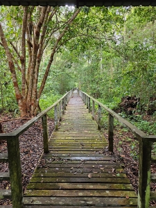 Klias Marsh boardwalk