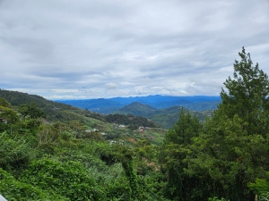 Kinabalu Park vista