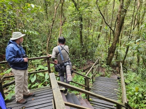 Kinabalu Park