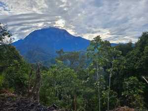 Kinabalu Park, view of Mt Kinabalu