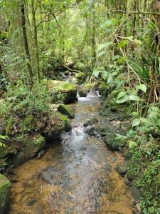 Kinabalu Park