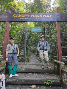 Canopy walkway!