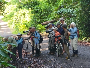 Typical birding group