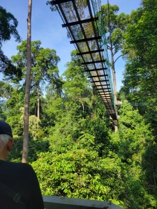 Canopy walkway