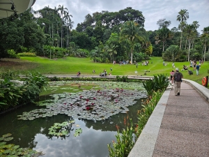Singapore Botanic Gardens