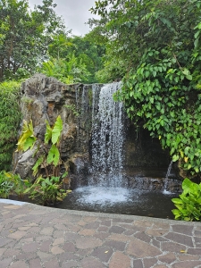Singapore Botanic Gardens