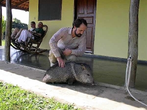 Still playing with Shaky