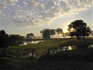 Morning clouds, Fazenda Santa Thereza