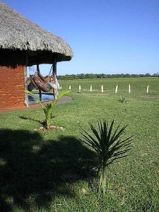Liza finds her hammock