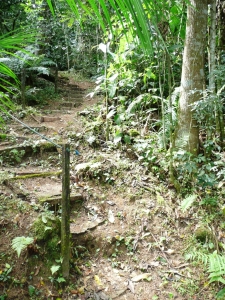 Steep trail