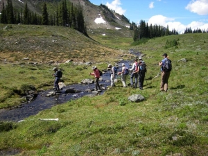 One of many stream crossings