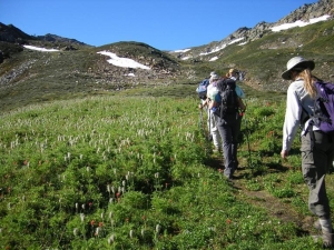 Past slopes of "hippies on sticks"
