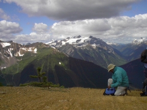 Atop Crenelation Ridge