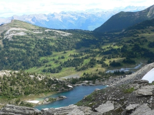 Lake view