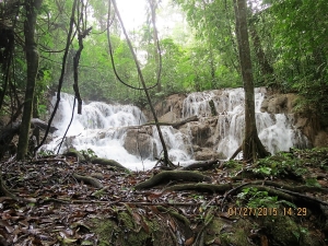 Falls, tributary of Rio Lacanja