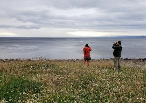 Birding Tierra del Fuego