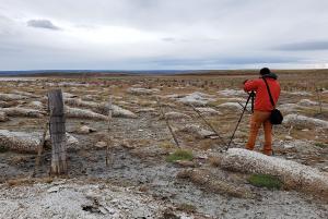 At Parque de los Estromatolitos,Tierra del Fuego