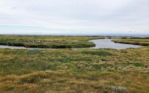 Parque Pinguino Rey,Bahia Inutil, Tierra del Fuego
