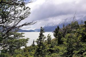 Gray glacier viewpoint