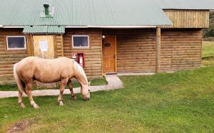 Every room comes with a horse?
