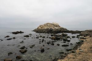 Viña del Mar