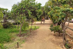Parque Ecológico La Isla, Concón