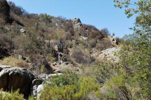 La Campana National Park