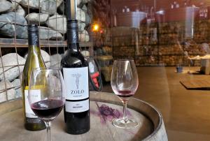 Zolo/Tapiz winery, Mendoza