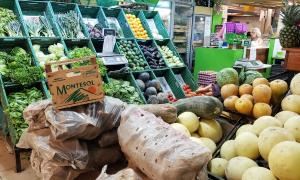 Public market, Mendoza