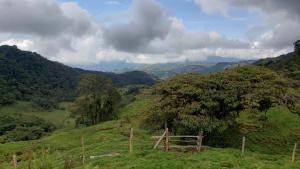 Reserva Natural Loro Orejiamarillo