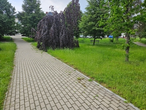Park where Jewish cemetery once was, Głubczyce