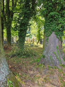 Krnov (Jägerndorf) old Jewish cemetery
