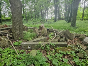 New Jewish Cemetery, Głubczyce